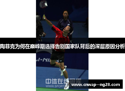 陶菲克为何在巅峰期选择告别国家队背后的深层原因分析