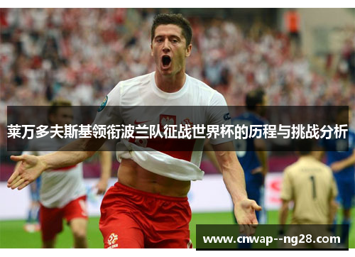 莱万多夫斯基领衔波兰队征战世界杯的历程与挑战分析