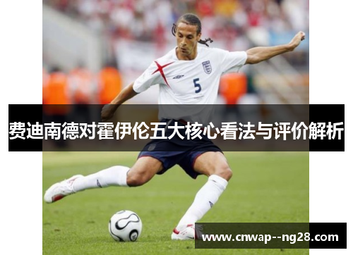 费迪南德对霍伊伦五大核心看法与评价解析