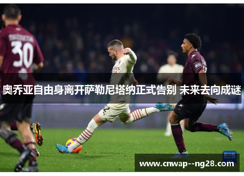 奥乔亚自由身离开萨勒尼塔纳正式告别 未来去向成谜