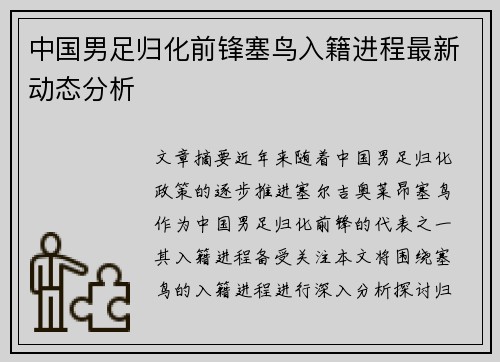 中国男足归化前锋塞鸟入籍进程最新动态分析